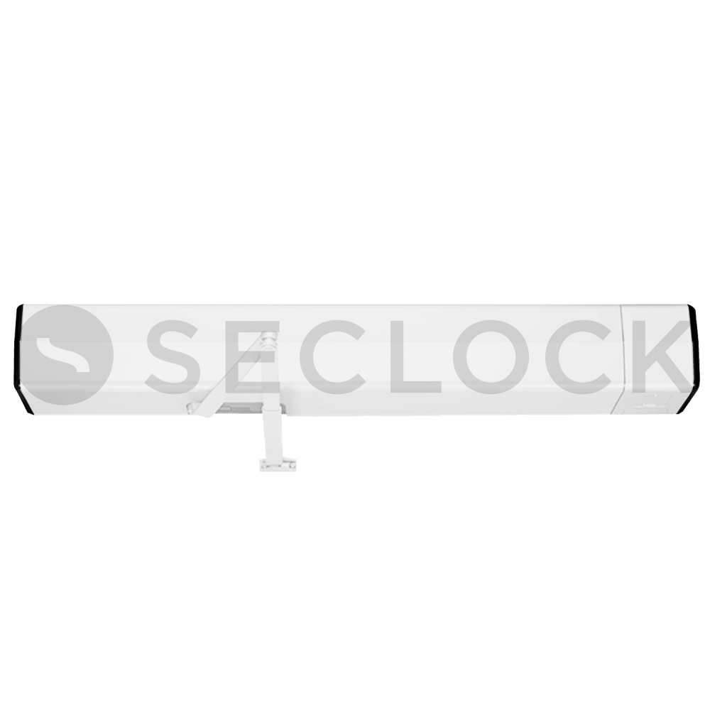 Catalog | Products | 6031 WSP | SECLOCK